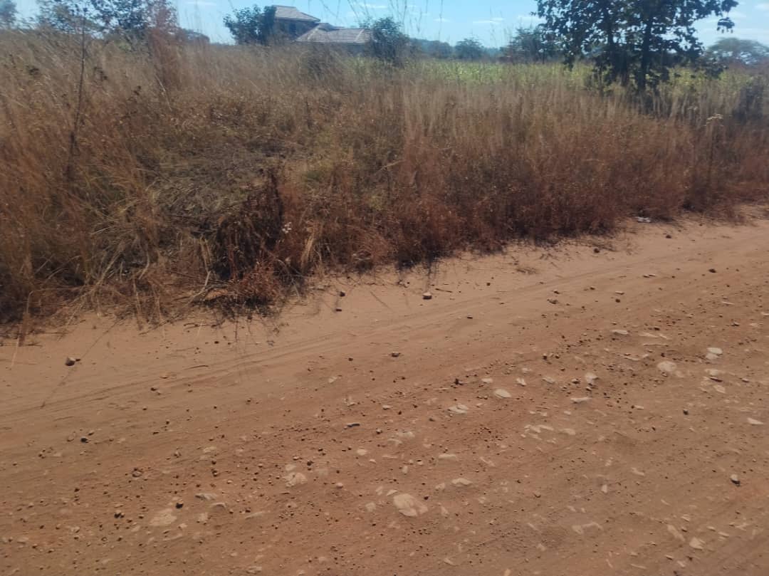 Commercial Complex - 3